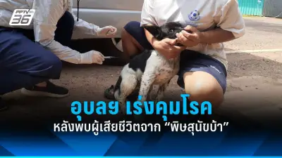 ไขข้อสงสัย กินอาหารเสริมตอนไหนดีที่สุด? รับประทานอย่างไรให้ได้ประโยชน์