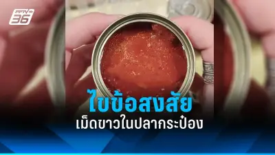 ไขข้อสงสัย กินไข่ทุกวันดีต่อสุขภาพหรือไม่