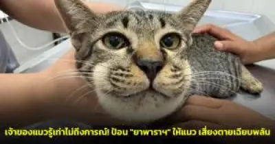 เปิดนโยบายต่างประเทศฮาวาย สานสัมพันธ์ไทย-สหรัฐฯ หลังเยือนไทย