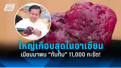 ศาลสหรัฐฯ สั่งยับยั้งคำสั่งทรัมป์ปฏิเสธสัญชาติบุคคลที่เกิดในสหรัฐ
