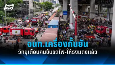 พายุถล่มนครปฐม ต้นไม้ล้มทับรถเสียหายหลายคัน