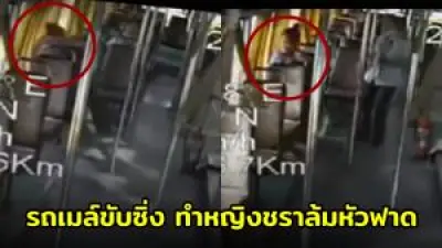 น้องหมาสายสืบ! ใช้กล้องวงจรปิดจับโจรขโมยสุนัขได้คาหนังคาเขา