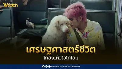 วิเคราะห์ 'โกฮัง..หัวใจโกโฮม' ผ่านมุมเศรษฐศาสตร์ชีวิต เมื่อหมาจรเล่าเรื่อง