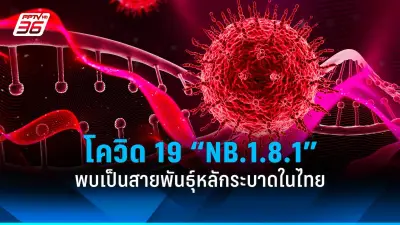 เตือนภัย! หนุ่มกินส้มตำใส่ปูดองดับ เจอแบคทีเรียกินเนื้อคร่าชีวิต