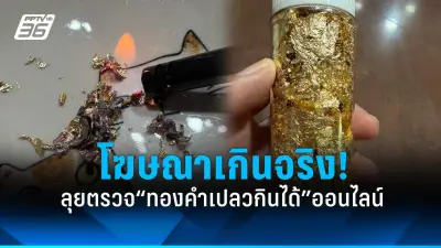 เตือนภัย! ไข้เลือดออกสายพันธุ์ใหม่ ระบาดหนัก อาการรุนแรงกว่าเดิม