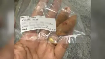 เปิดสถิติหวยออกตรงเลขทะเบียนรถนายกฯ หลายงวดติด
