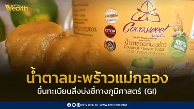 “น้ำตาลมะพร้าวแม่กลอง” ขึ้นทะเบียน GI สินค้าอัตลักษณ์สมุทรสงคราม