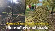 ทลายโกดังบุหรี่ไฟฟ้าเถื่อน ยึดของกลางนับหมื่นชิ้น มูลค่ากว่า 10 ล้าน