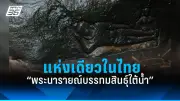 เปิดโผ 10 อันดับสัตว์มีพิษร้ายแรงที่สุดในโลก หนูไม่เชื่อต้องอ่าน