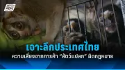 คดีดัง! หนุ่มเมาแล้วขับชนคนตายศาลสั่งจำคุก 10 ปี