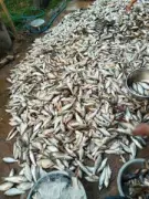 พม่าตั้งเป้าดึงนักท่องเที่ยวจีน 2 ล้านคนในปี 2568 หลังยกเว้นวีซ่า