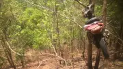 ซิ่งแหกโค้งดับ มอเตอร์ไซค์เหินขึ้นค้างบนต้นไม้สูง 2 เมตร