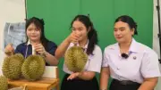 รวบหนุ่มหลอกขายรถยนต์ไฟฟ้า สูญเงินกว่า 2 ล้านบาท