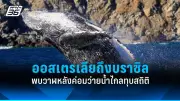 ทรัมป์จ่อแถลงนโยบายภาษีครั้งใหญ่ สหรัฐฯ เตรียมเก็บภาษีนำเข้า 25%