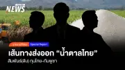ปี 2568 ไทยยังครองอันดับ 2 ผู้ส่งออกน้ำตาลโลก พิษสงครามกระทบห่วงโซ่อุปทาน
