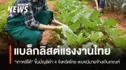 เกาหลีใต้ขึ้นบัญชีดำ 4 จังหวัดไทย แรงงานเกษตรหลบหนีเกิน 20%