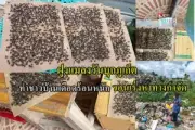 เปิดใจแม่ค้าลูกชิ้นทอดดัง หลังถูกแชร์ว่อนเน็ตทำรายได้วันละ 5 หมื่น