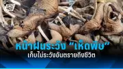 เปิด 5 อันตรายที่มากับการนอนกรน เสี่ยงโรคหัวใจ-ความดัน