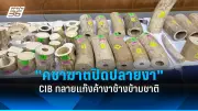 สวนสัตว์เปิดเขาเขียวเตรียมฉลองวันเกิดช้างพังศุภโชค ครบ 60 ปี