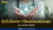 หุ้นไบโอเทคผลตอบแทนพุ่ง 64% ชนะทองคำ ทิสโก้ชี้แนวโน้มโตต่อ