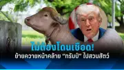 รัฐบาลไทยเร่งแก้ปัญหาน้ำท่วมภาคใต้ ประกาศเขตภัยพิบัติ 7 จังหวัด