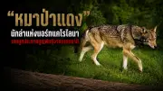 เปิดตัวหุ่นยนต์ฟาร์ม AI ลดต้นทุนเกษตรกรไทย