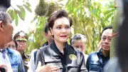 พาณิชย์ห่วงทุเรียนจันทบุรีเสียหายจากพายุ เร่งสำรวจ-แปรรูปสร้างรายได้