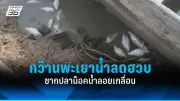 พายุถล่มหลายจังหวัดในไทย เกิดน้ำท่วมฉับพลัน