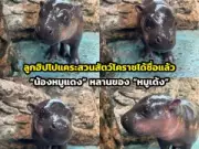 เที่ยววัดอรุณฯ ชมพระปรางค์คืนชีพ เปิดไฟกลางคืนสวยตระการตา