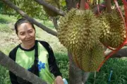 สลด! พบศพหนุ่มน้อยถูกยิงดับคารถจอดกลางซอยเปลี่ยวบางบัวทอง