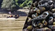 เตือนด่วน งดกินหอยจากแม่น้ำสาละวิน พบสารตะกั่ว-สารหนูเกินมาตรฐาน