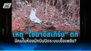 สหรัฐฯ ประกาศคว่ำบาตรอิหร่านเพิ่ม หลังโจมตีอิสราเอล