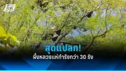 นายกฯ ห่วงใยประชาชน ลงพื้นที่ตรวจสถานการณ์น้ำท่วมภาคใต้