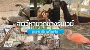 เที่ยวไทย: ลงเครื่องปุ๊บ เที่ยวปั๊บ ชมสัตว์หายากที่สวนสัตว์สนามบินสุโขทัย