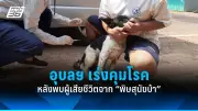 ไขข้อสงสัย กินอาหารเสริมตอนไหนดีที่สุด? รับประทานอย่างไรให้ได้ประโยชน์