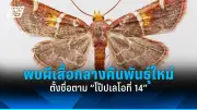 ทรัมป์ลงนามคำสั่งคว่ำบาตรศาลอาญาระหว่างประเทศ กรณีออกหมายจับนายกฯอิสราเอล