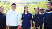 รมช.ปิยะรัฐชย์ ผลักดันทุเรียนเชียงรายคุณภาพสู่ตลาดมูลค่าสูง เพิ่มรายได้เกษตรกร
