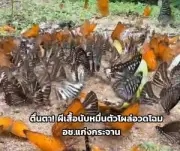 หนุ่มหล่อควงสาวเที่ยวทะเล ถูกคลื่นซัดดับปริศนา คาดหวิดถูกหินกระแทก