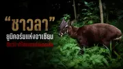 เปิดตัวแอปพลิเคชันใหม่เพื่อการจัดการสุขภาพส่วนบุคคล