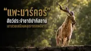 ดราม่าไฟไหม้บ้านเศรษฐี จุดเริ่มต้นจากปมขัดแย้งในครอบครัว