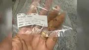 เปิดสถิติหวยออกตรงเลขทะเบียนรถนายกฯ หลายงวดติด