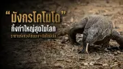 เปิดตัวสมาร์ทโฟนรุ่นใหม่ล่าสุด มาพร้อมฟีเจอร์ถ่ายภาพระดับมืออาชีพ