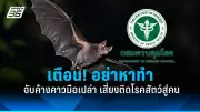 เปิดสาเหตุโรคหลอดเลือดสมอง ปัจจัยเสี่ยงที่ต้องรู้