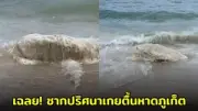เปิดตัวรถยนต์ไฟฟ้ารุ่นใหม่ประหยัดพลังงานสุดล้ำ