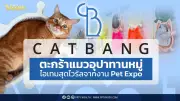 Catbang ตะกร้าแมวสุดไวรัล ปรากฏการณ์อุปาทานหมู่ใน Pet Expo