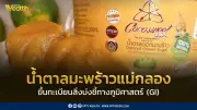 “น้ำตาลมะพร้าวแม่กลอง” ขึ้นทะเบียน GI สินค้าอัตลักษณ์สมุทรสงคราม