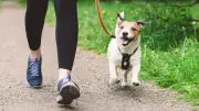 เทรนด์ Pet Inclusive Running พาน้องหมาไปวิ่ง ป้องกัน Overheat