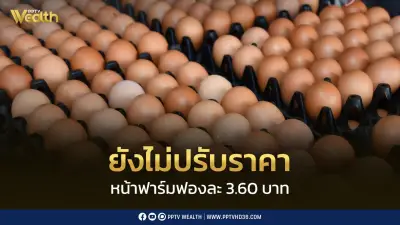 ไข่ไก่ราคาทรงตัว 3.60 บาท/ฟอง อุปสงค์-อุปทานเริ่มสมดุลหลังเปิดเทอม
