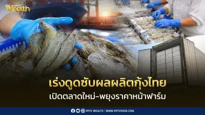 รัฐบาลเร่งดูดซับกุ้ง 400 ตันต่อเดือน หลังมาเลเซียระงับนำเข้า