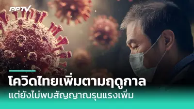 เตือนภัย! แก๊งต้มตุ๋นปลอมเป็นเน็ตฟลิกซ์ หลอกเหยื่อดูดเงิน